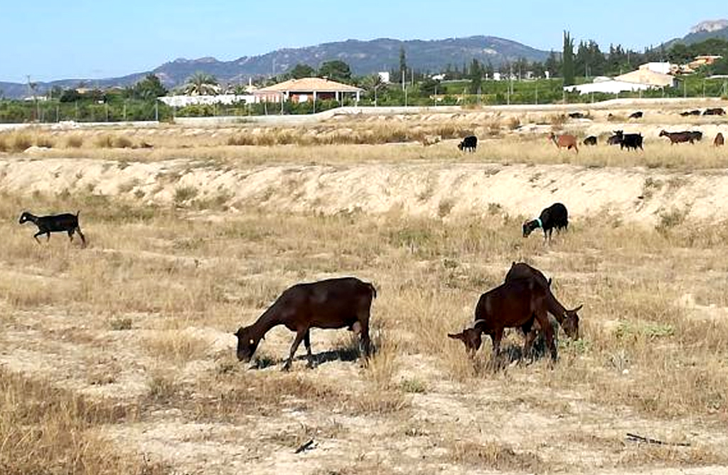 Asaja Murcia considera